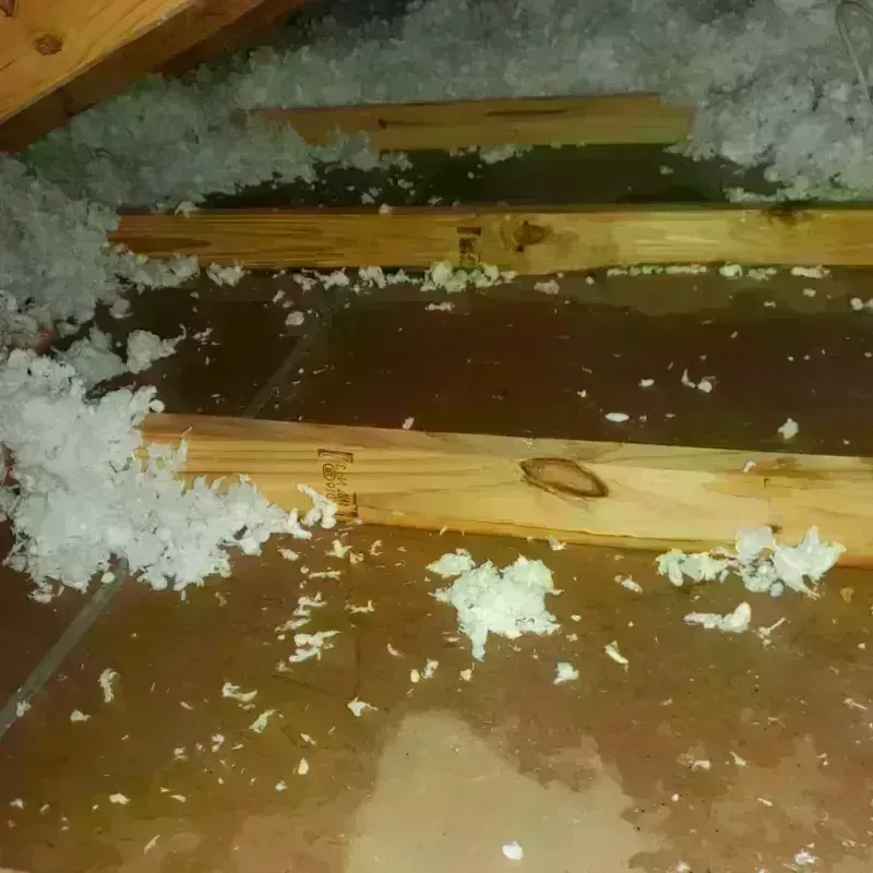 Attic Water Damage in Polo, IL